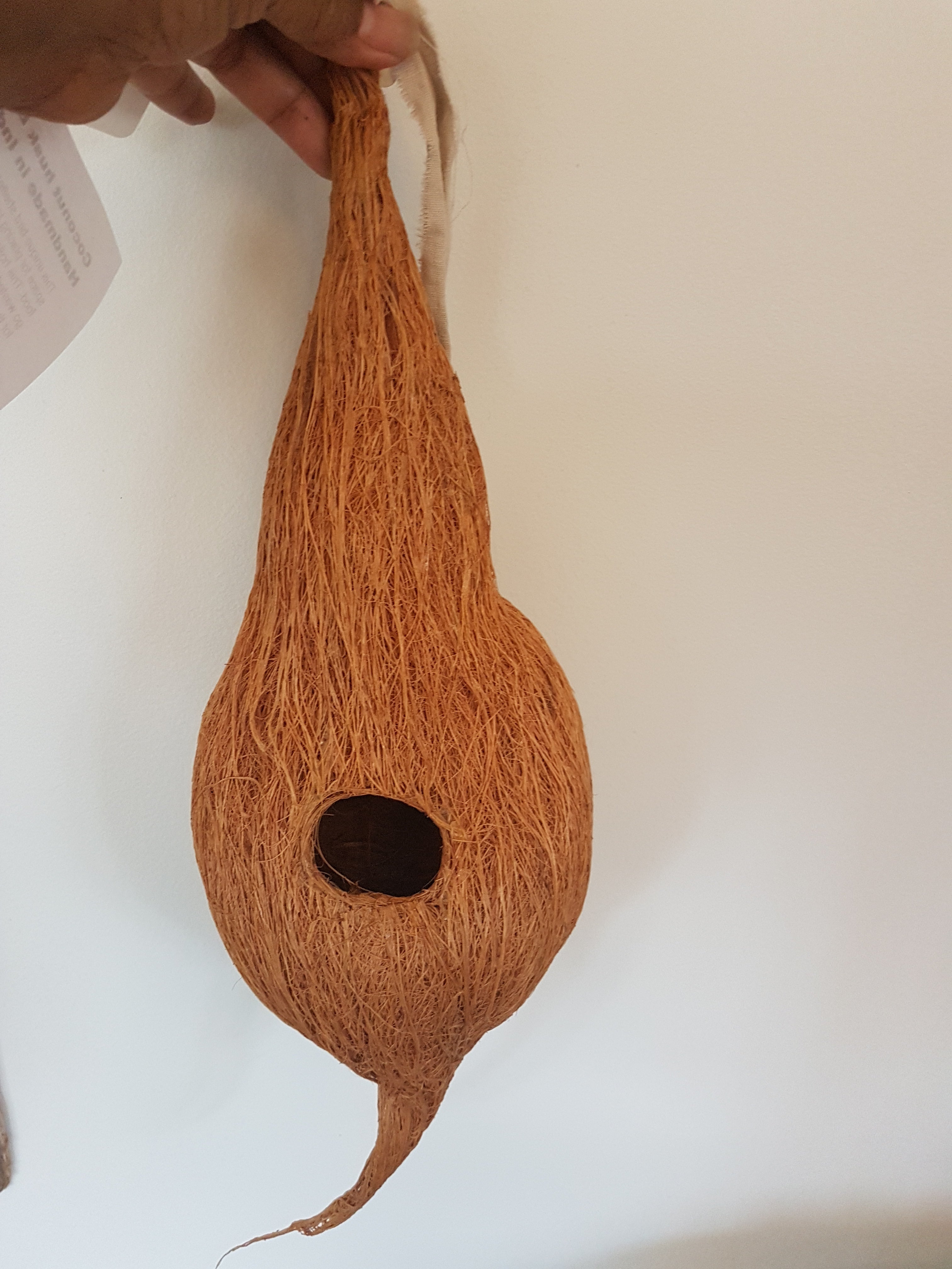 coconut plant hanger Coconut husk Air plant hanger – thecamelliadecor.com