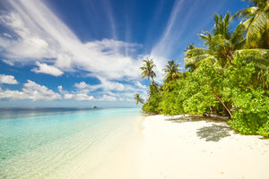 Beach with white sand and palm trees with blue sky